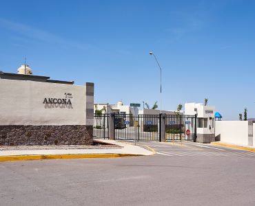 ancona chihuahua atlas